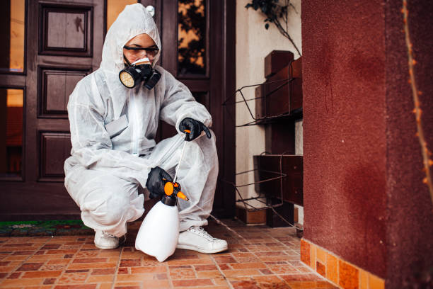Attic and Crawl Space Rodent Treatment in Pine Mountain Lake